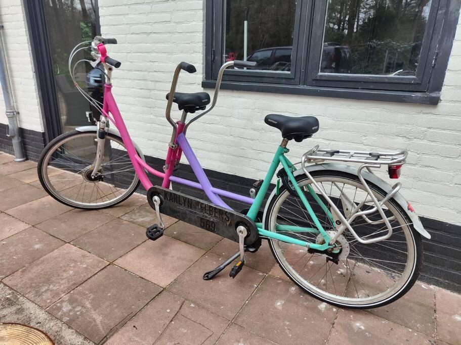 Kindvriendelijke Bungalow In Het Bos Bij Zwemmeer. Vilsteren Eksteriør bilde
