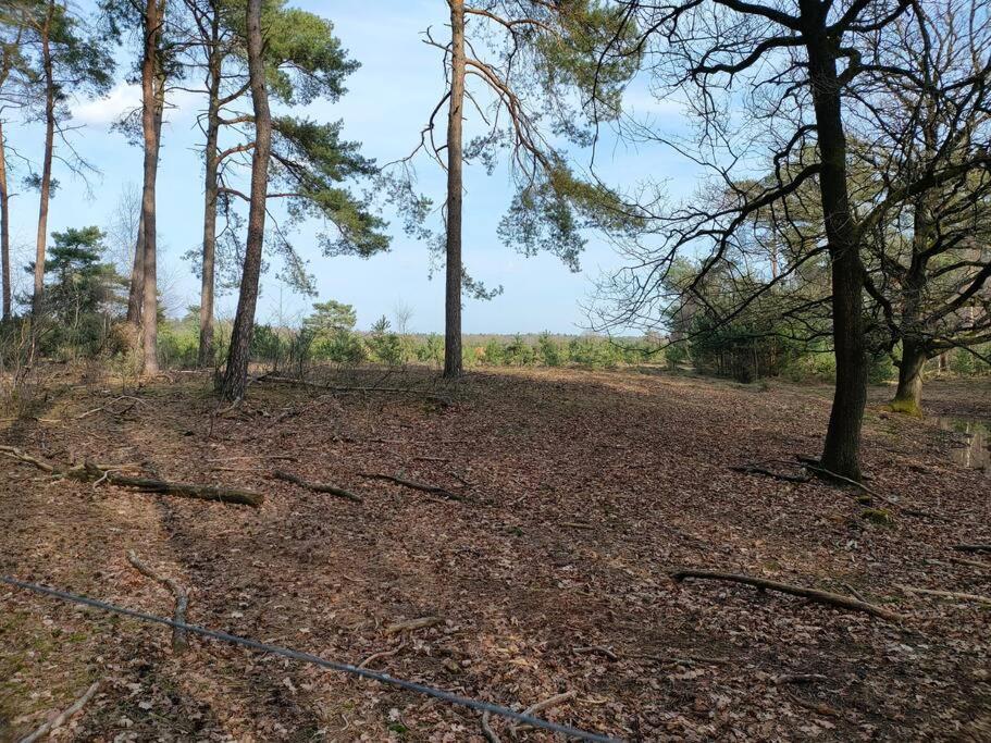 Kindvriendelijke Bungalow In Het Bos Bij Zwemmeer. Vilsteren Eksteriør bilde