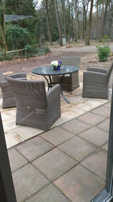 Kindvriendelijke Bungalow In Het Bos Bij Zwemmeer. Vilsteren Eksteriør bilde