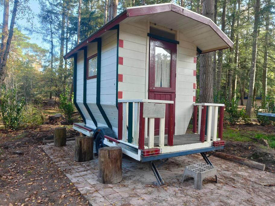 Kindvriendelijke Bungalow In Het Bos Bij Zwemmeer. Vilsteren Eksteriør bilde