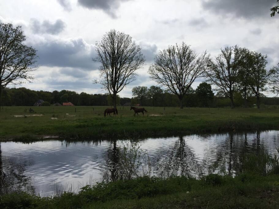 Kindvriendelijke Bungalow In Het Bos Bij Zwemmeer. Vilsteren Eksteriør bilde